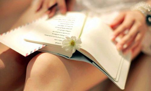 林浩林妙妙刘伶俐小说阅读 林浩林妙妙刘伶俐全文免费无广告