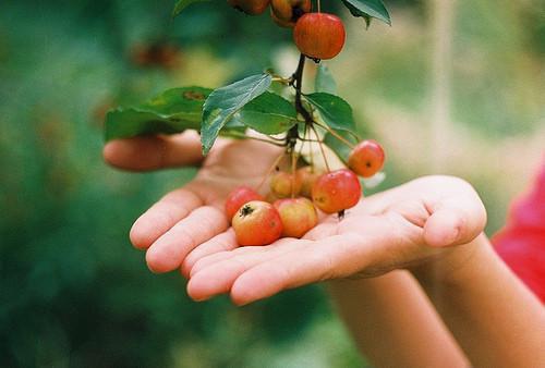男女主角是安念周淮的小说 重生后，我要黑心白月光去死在线看