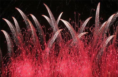 邓澜邓波免费全本小说 邓澜邓波章节目录