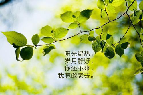 苏昭昭顾容珩全文阅读 苏昭昭顾容珩小说最新章节