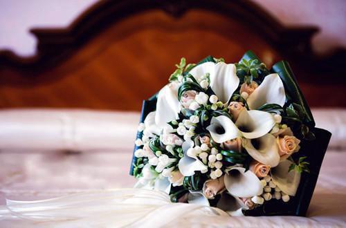 (完整版)秦念林旭小说免费阅读无广告