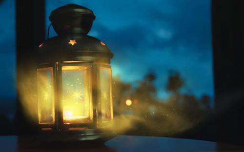 沈行知小说名字 沈行知全文免费阅读