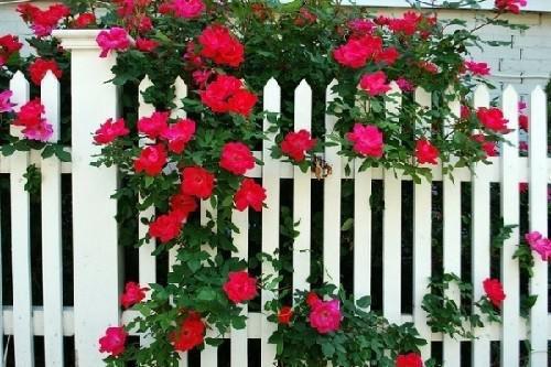 云朵胡闹小说全文免费阅读(宋雪宋一楠)全文在线宋雪宋一楠读无弹窗大结局_(云朵胡闹小说宋雪宋一楠)云朵胡闹小说在线宋雪宋一楠读无弹窗最新章节列表(宋雪宋一楠)