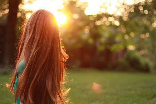 蒙鸢景成朗结局是什么 蒙鸢景成朗免费阅读全文