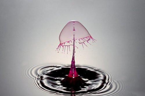 胭脂笑小说最新章节 燕成轩崔绾宜结局免费阅读