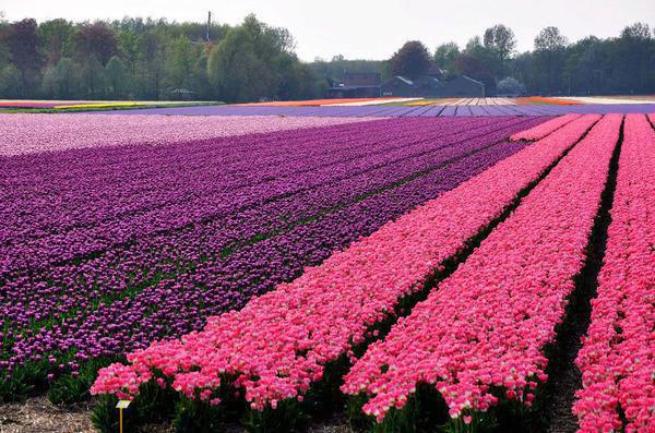 重活一世，她决定放过魏成祁也放过自己免费资源 魏成祁秦妍可沈婉清小说结局在线阅读