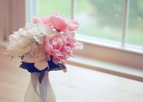 主角陆行川沈严小说 陆行川沈严小说全文免费阅读