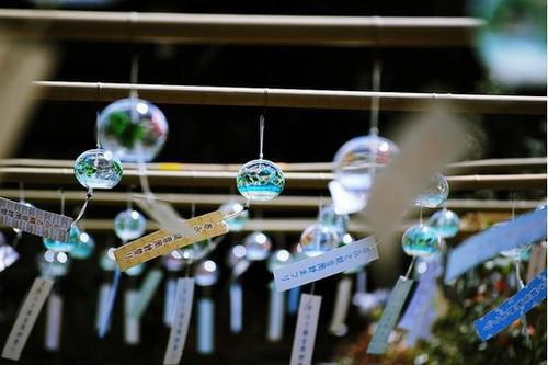 (抖音小说)沈佳思金浩博小说全文阅读免费