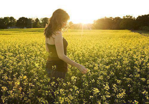 江暖慕淮璟主角的书 什么冷漠渣男，明明是最棒老公全文阅读免费
