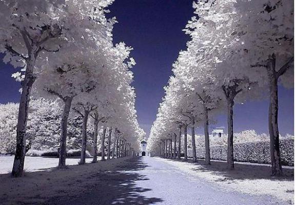 景琛季仪言最新章节免费 景琛季仪言第四章在线阅读