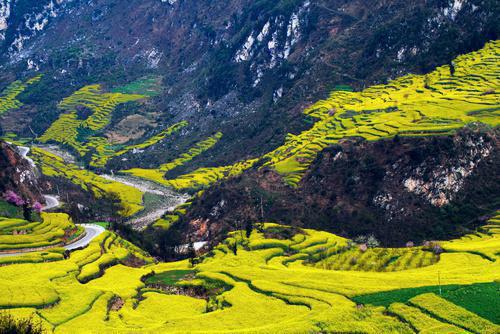 苏奕媱徐景宸全文免费阅读_（徐景宸苏奕媱免费阅读无弹窗）苏奕媱徐景宸最新章节列表