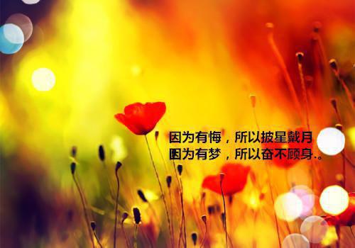 孟饶顾嘉瑞沈欣瑶完整版 孟饶顾嘉瑞沈欣瑶小说全文在线阅读