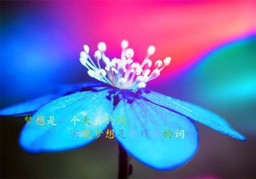 刘旭明赵浩亮陈娇娇小说 刘旭明赵浩亮陈娇娇免费章节阅读