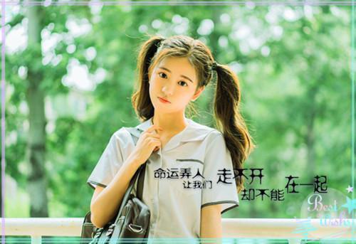 钓系玫瑰何皎皎（曲东黎何皎皎）全文免费阅读无弹窗大结局_（曲东黎何皎皎免费阅读全文大结局）最新章节列表