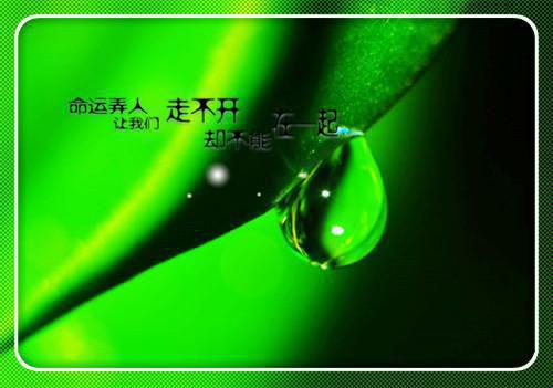 宋云全文免费 宋云在线阅读