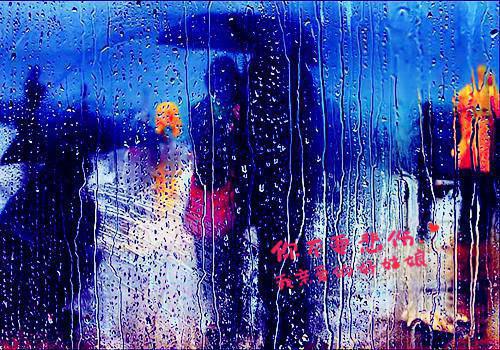 (抖音小说)陆缜林莞免费阅读