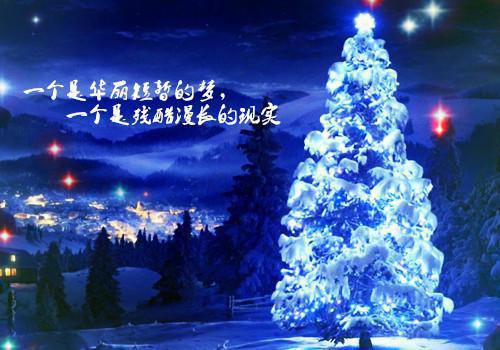 顾兰张阔小说叫什么 顾兰张阔小说全文免费阅读