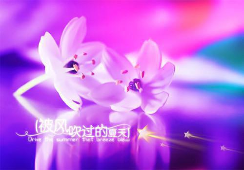 谢无宴沈柚清小说章节目录 谢无宴沈柚清免费阅读