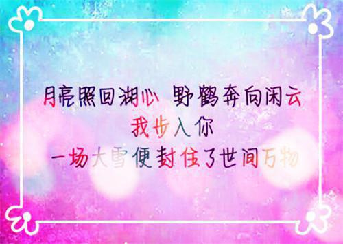 江肆沈悦宁宋郁泽免费小说 江肆沈悦宁宋郁泽完结版在线阅读