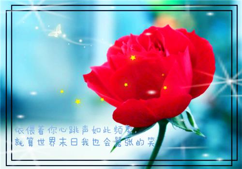 宋晚宁裴叙白什么小说 宋晚宁裴叙白全文免费阅读