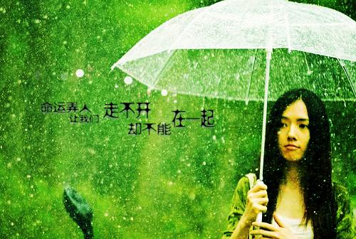 主角名是陈欢林瑶许锦墨全文免费阅读正版