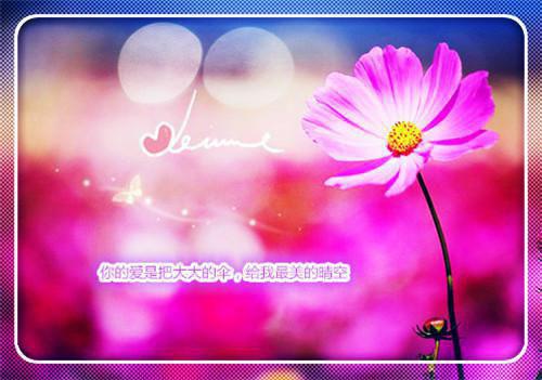 王牌宠妹免费无弹窗 孟云川小说阅读