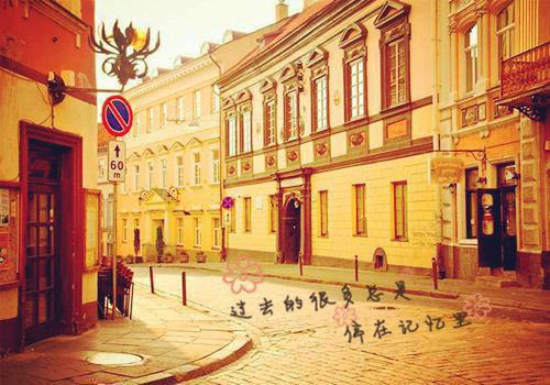 天上掉下只小奶狗兆璃关河by墨羲临