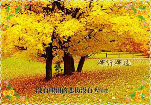 秦灼沈宁全文（沈宁秦灼小说）全文免费阅读无弹窗大结局_秦灼沈宁免费最新章节列表（沈宁秦灼小说）