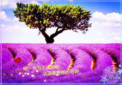 贺雪妩乔令州小说 贺雪妩乔令州完整版免费阅读