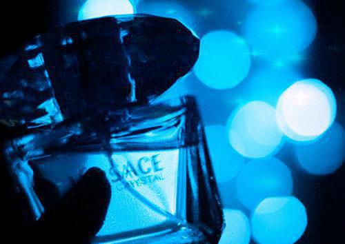 苏辛温雅小说在哪里看 苏辛温雅在线阅读第二章