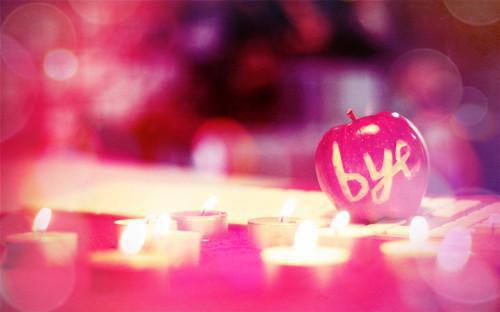 傅瑾言温念陆淼小说叫什么 傅瑾言温念陆淼小说全文免费阅读