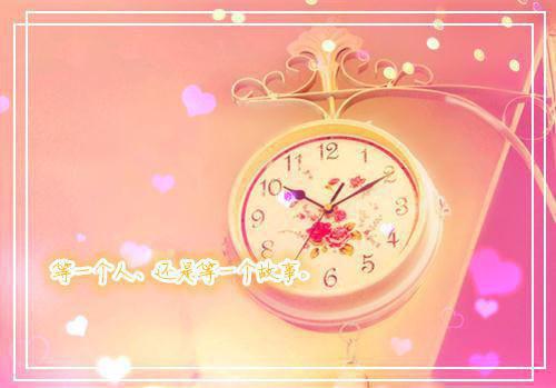 齐思白沈倦小说最新章节 齐思白沈倦免费阅读