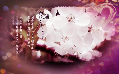 江清月宋砚哪里可以看 江清月宋砚免费阅读第6章