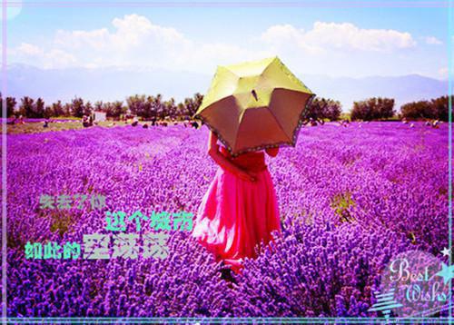 主角是贺夕颜萧墨寒的小说-听我心声后，残疾大佬宠麻了全文无弹窗免费阅读