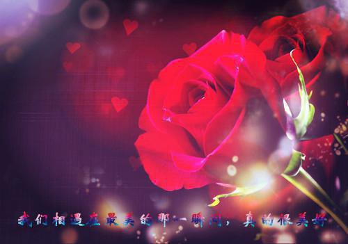 姜晚凝萧浮白全文免费阅读最新 姜晚凝萧浮白第四章