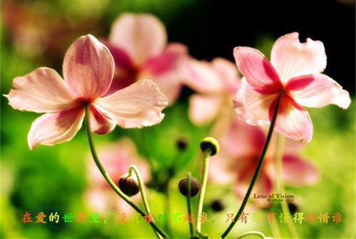 崔季舒李承乾免费小说 崔季舒李承乾完结版在线阅读