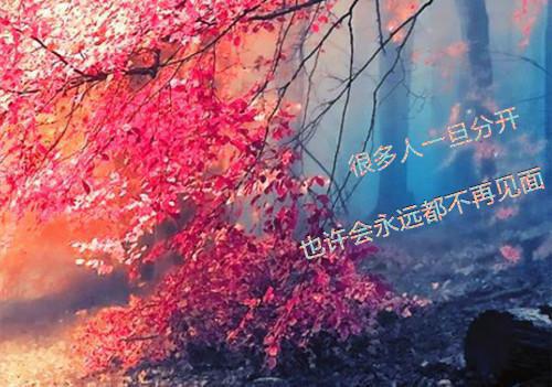 杀死甜宠天道岑妙陆鸢方辞完整版小说免费阅读