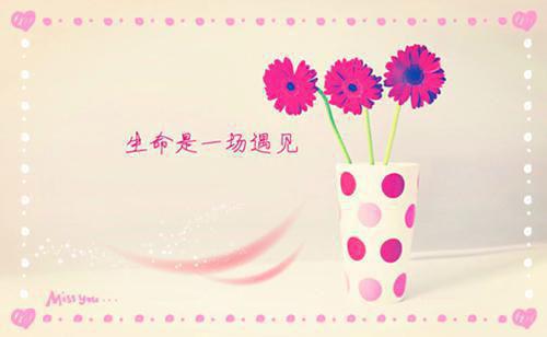 林嘉芸芸小说全文阅读 偏心父母强行篡改我的志愿后续章节列表