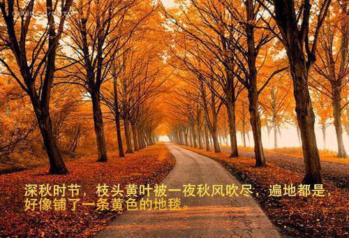 (完整版)秦孟瑶黎牧池小说免费阅读无广告