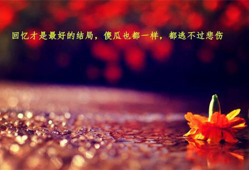 苏莹莹姜屹川小说全文阅读 苏莹莹姜屹川第三章