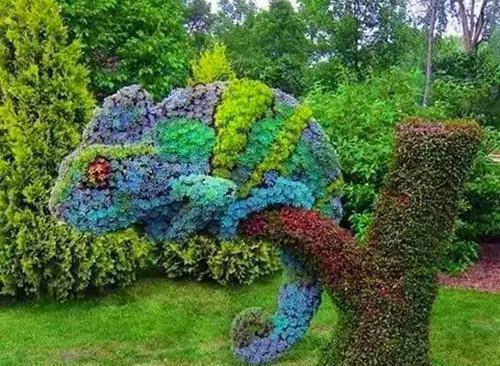 沈舒宜江起淮小说阅读 沈舒宜江起淮全文免费无广告