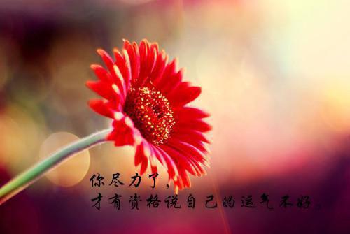 陆南泽陈芷依小说全免读 陆南泽陈芷依第二章在线阅读