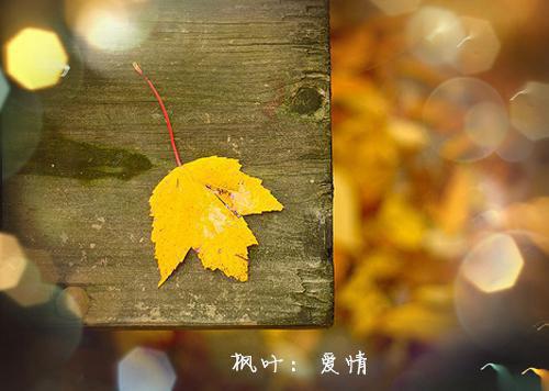 升迁之路之草根秘书全集免费阅读 升迁之路之草根秘书完整版小说