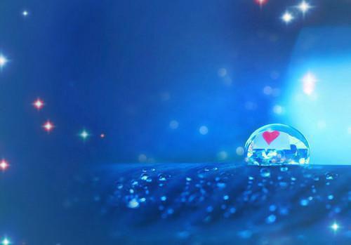 柯尔鸭小说免费阅读第19章 能听见动物说话后我想聋了章节列表