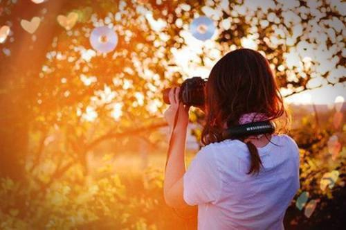 重生后我成全女教授妻子和她的白月光目录 沈书白林闻语温瑜白无弹窗阅读