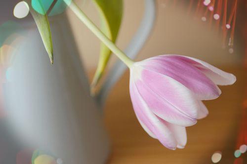 温光星河小说全文免费阅读（孟星河孟星野）全文免费孟星河孟星野读无弹窗大结局_(孟星河孟星野)温光星河小说免费孟星河孟星野读无弹窗最新章节列表（孟星河孟星野）