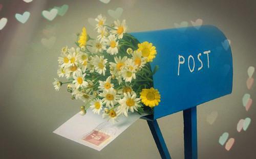 李光宗小说 李光宗全文免费阅读