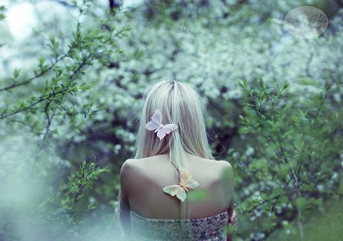 被妖兽分食后我觉醒了上古九尾狐血脉扶舟白芙免费章节在线阅读