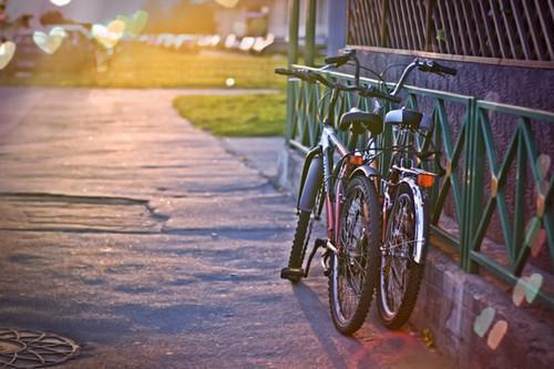 芸儿春芝小说全免读 芸儿春芝第四章在线阅读