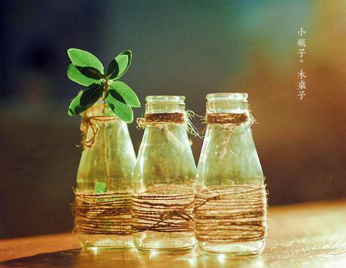 陆翊川宋雅宁周文彬免费章节最新 结婚前，妻子为白月光杀了我的猫by云间老鹤